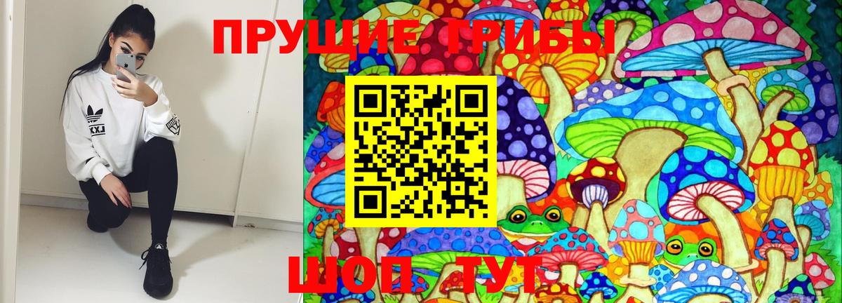 Псилоцибиновые грибы Magic Shrooms Павлово